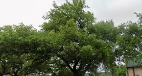 Close and save with beycome