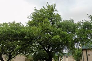 Close and save with beycome