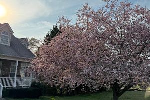 Close and save with beycome