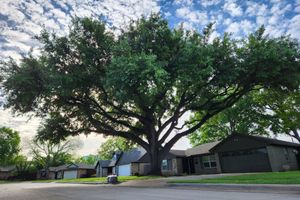 Close and save with beycome